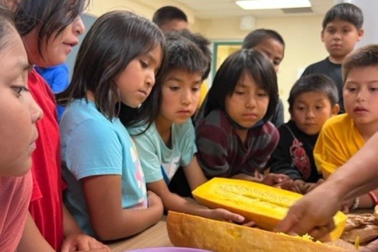 A group of students surround an adult preparing a squash for cooking.