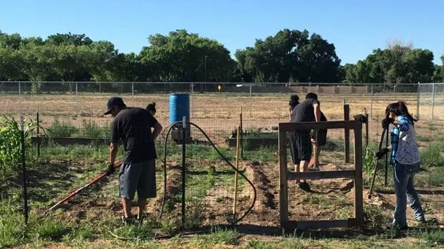 A group of people works together with hand-held equipment in their community garden.