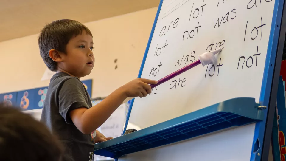 A young student stands at a whiteboard and points at words written on it with a long stick.
